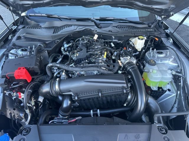 New 2025 Ford Mustang Coupe image 31