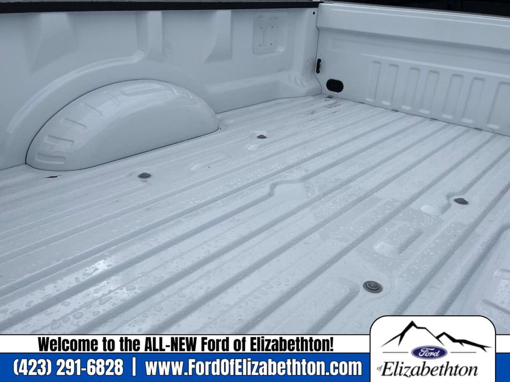 New 2026 Ford F250 4x4 Regular Cab Super Duty image 4
