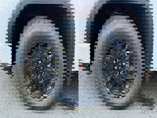 New 2026 GMC Sierra 1500 Elevation w/ Elevation Premium Package image 7