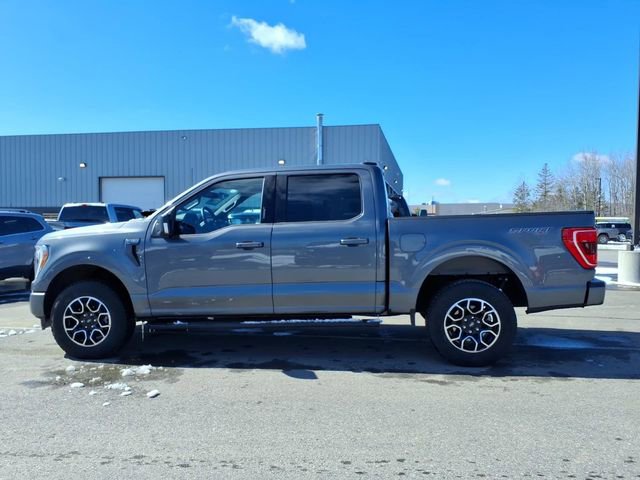 Used 2023 Ford F150 XLT w/ Equipment Group 302A High image 8
