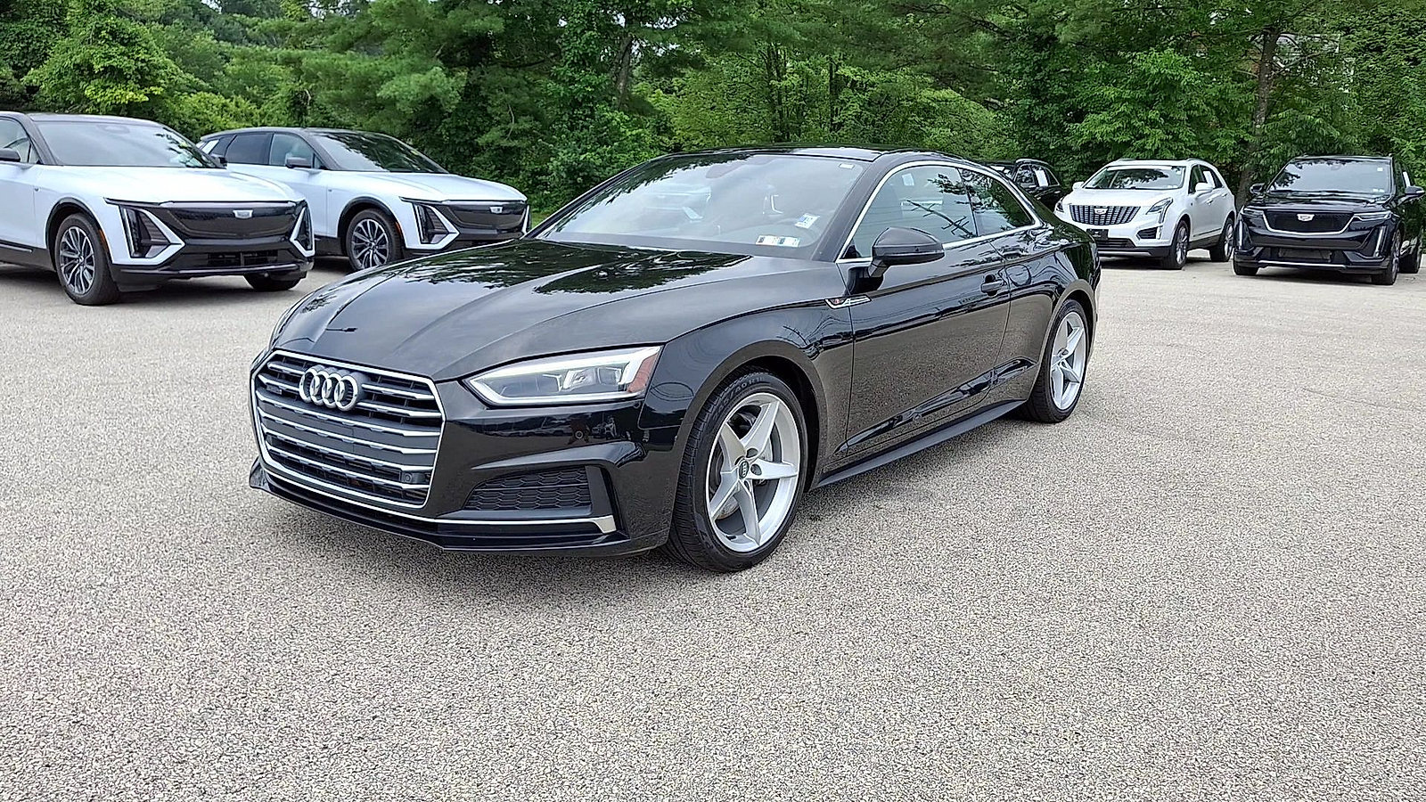 Used 2019 Audi A5 2.0T Premium Plus w/ Premium Plus AWD/4WD image 4