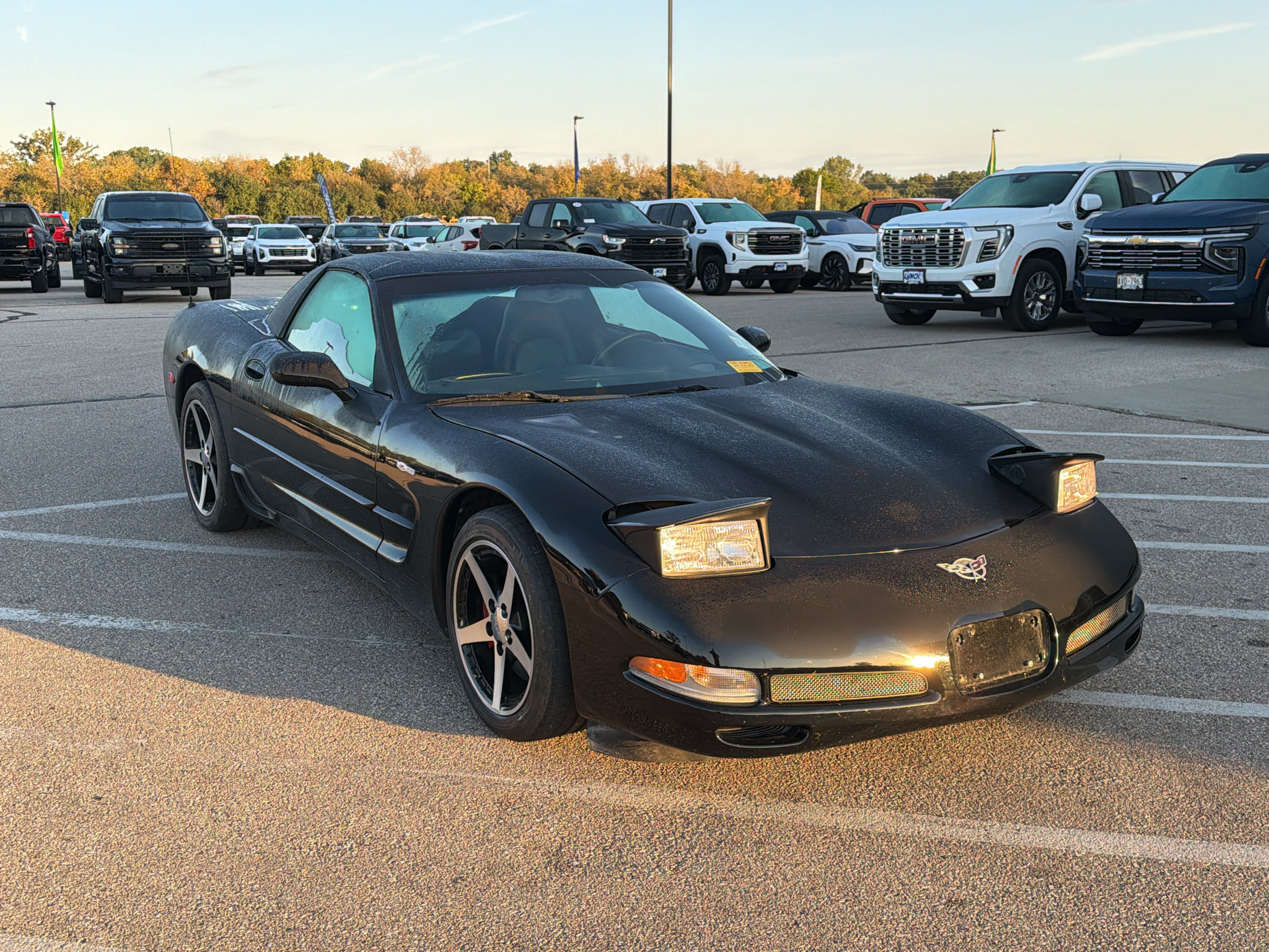 Used 2003 Chevrolet Corvette Z06 w/ Memory Package, 3 Drivers RWD image 8