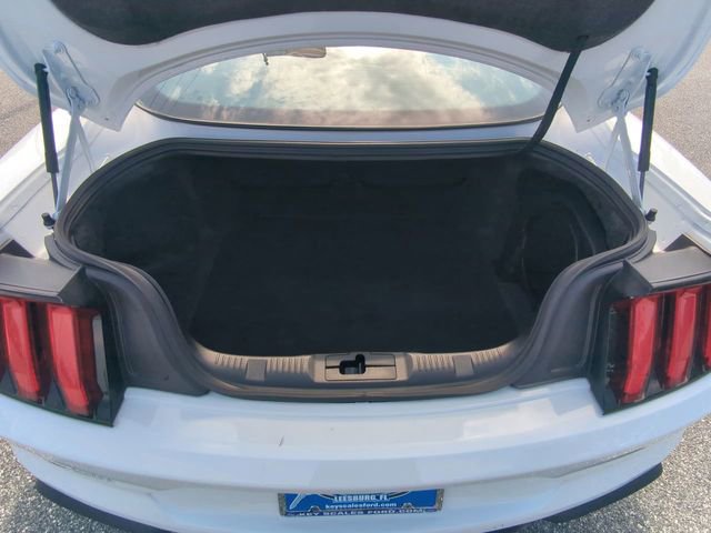 Certified 2021 Ford Mustang GT Premium w/ California Special Package image 14