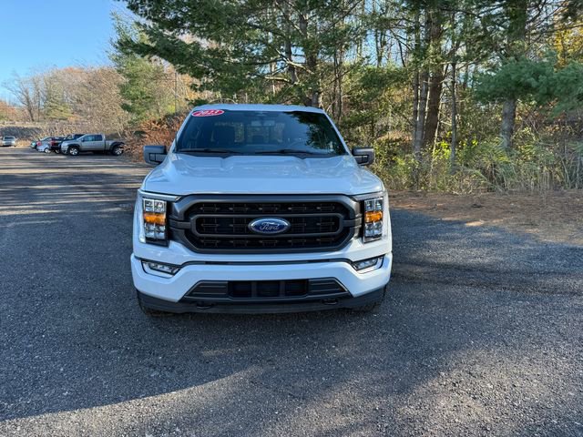 Used 2023 Ford F150 XLT w/ Equipment Group 302A High image 8