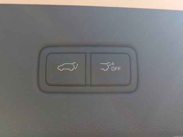 New 2026 Kia Carnival SX Prestige image 13