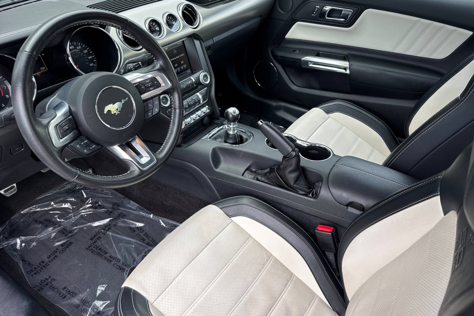 Used 2015 Ford Mustang 50 Years RWD image 10