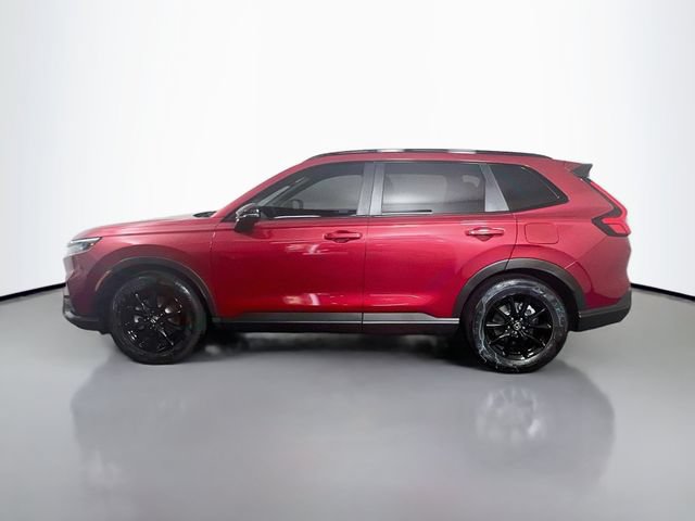 Certified 2026 Honda CR-V Sport image 6