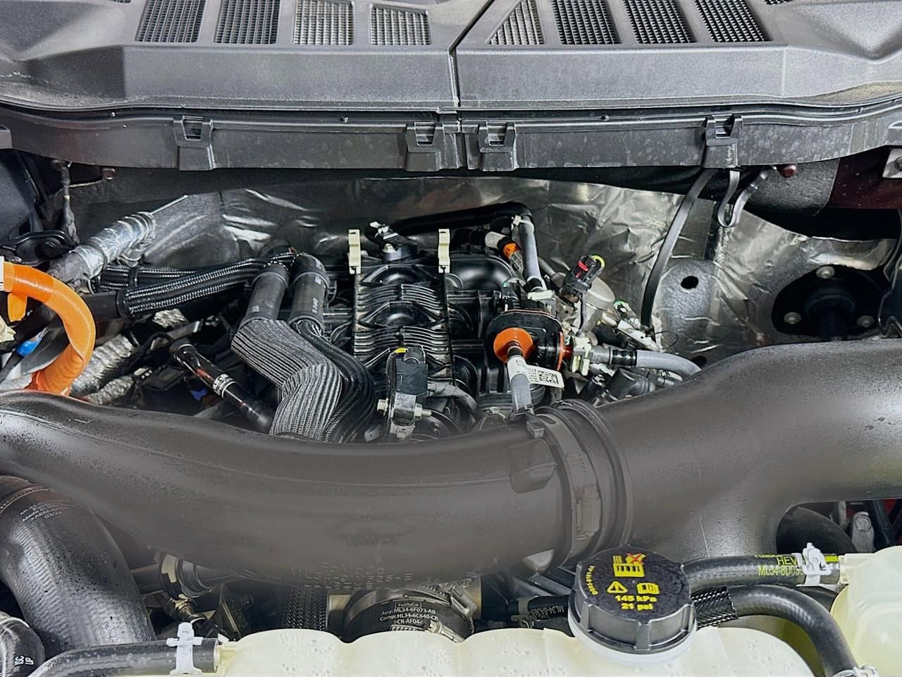 Used 2024 Ford F150 XLT w/ Equipment Group 302A MID image 22