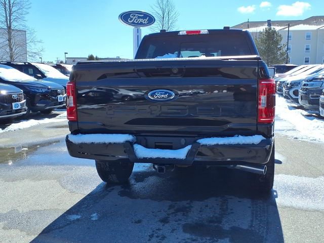 Used 2023 Ford F150 XLT w/ Equipment Group 302A High image 6