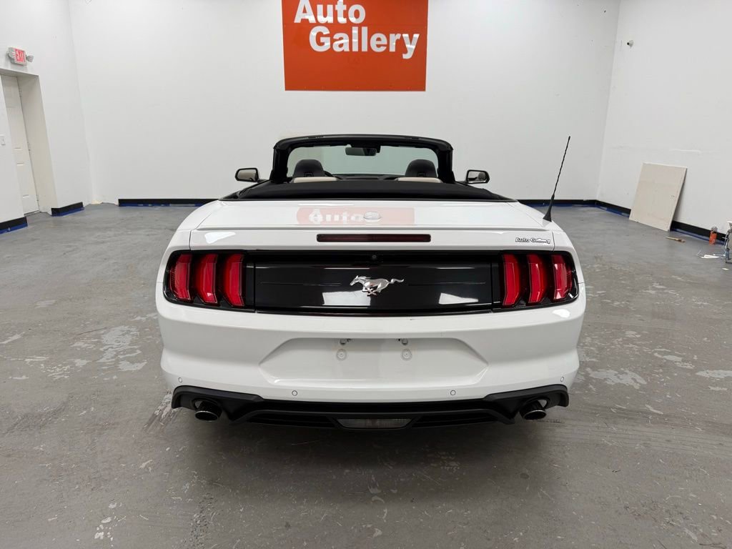 Used 2022 Ford Mustang Premium image 14
