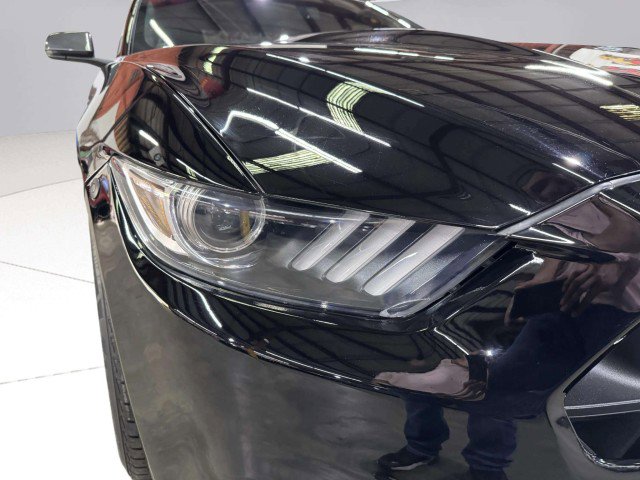 Used 2016 Ford Mustang Premium image 14