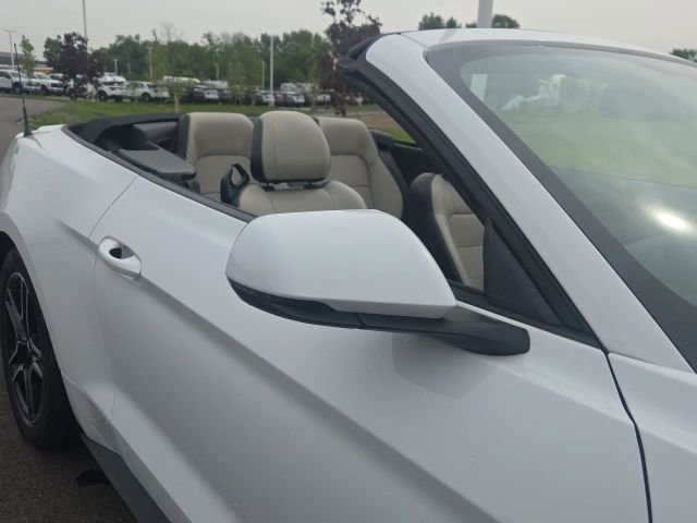 Used 2019 Ford Mustang Premium RWD image 9