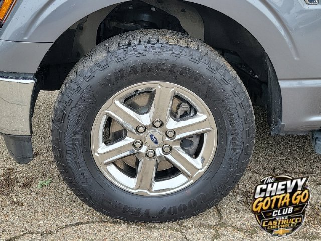Used 2025 Ford F150 XLT w/ Equipment Group 301A Standard AWD/4WD image 9