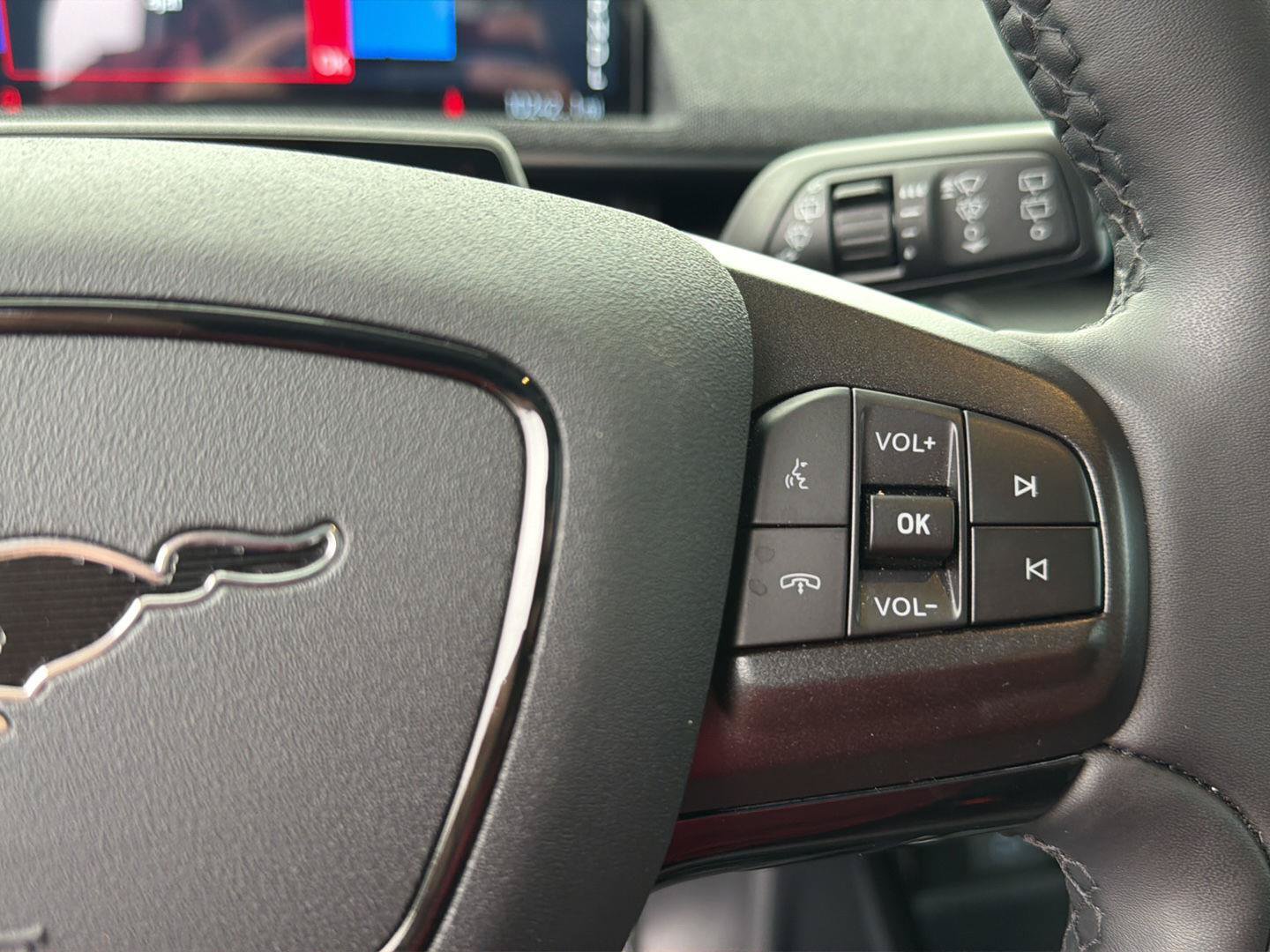 Used 2021 Ford Mustang Mach-E Premium RWD image 20