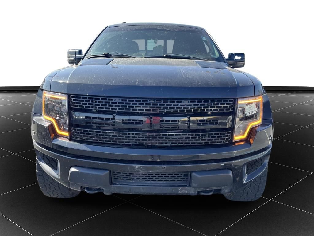 Used 2010 Ford F150 Raptor image 8