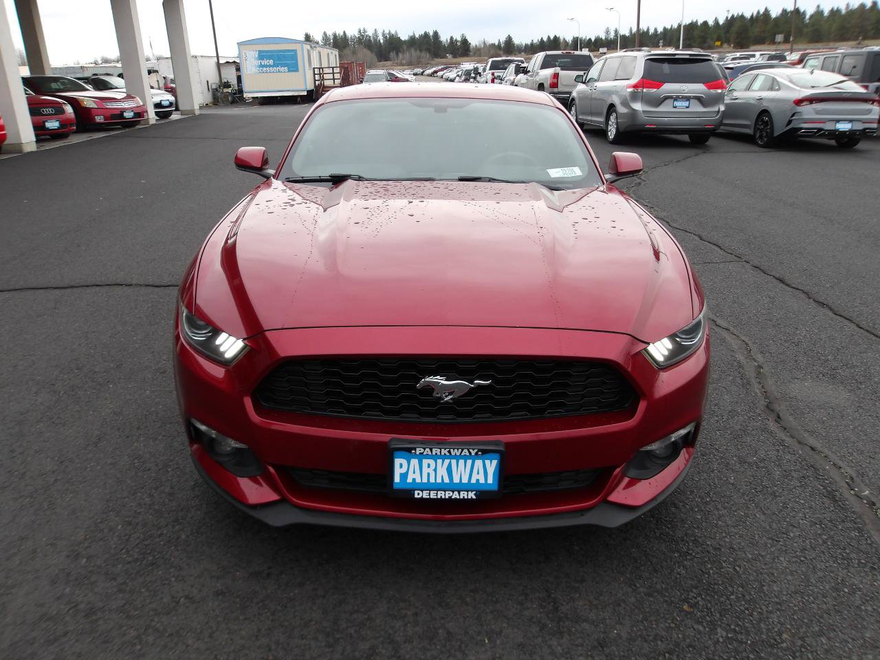 Used 2016 Ford Mustang Coupe w/ Interior & Wheel Package image 8