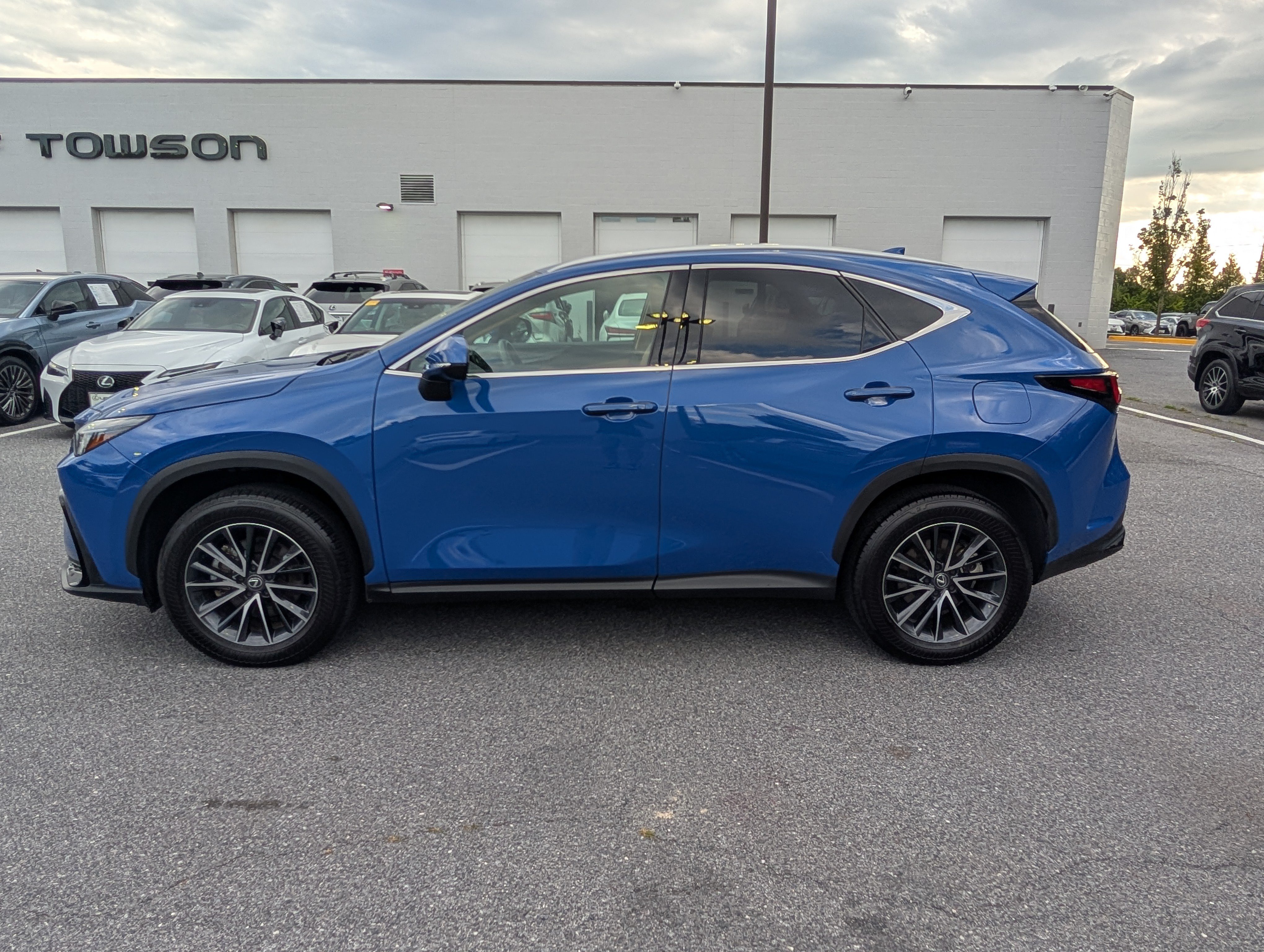 Certified 2025 Lexus NX 350h AWD w/ Cold Area Package image 6
