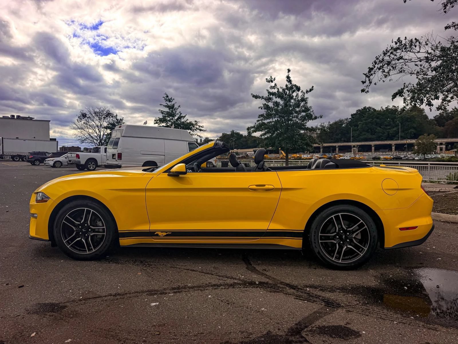 Used 2018 Ford Mustang Premium w/ Equipment Group 201A RWD image 4