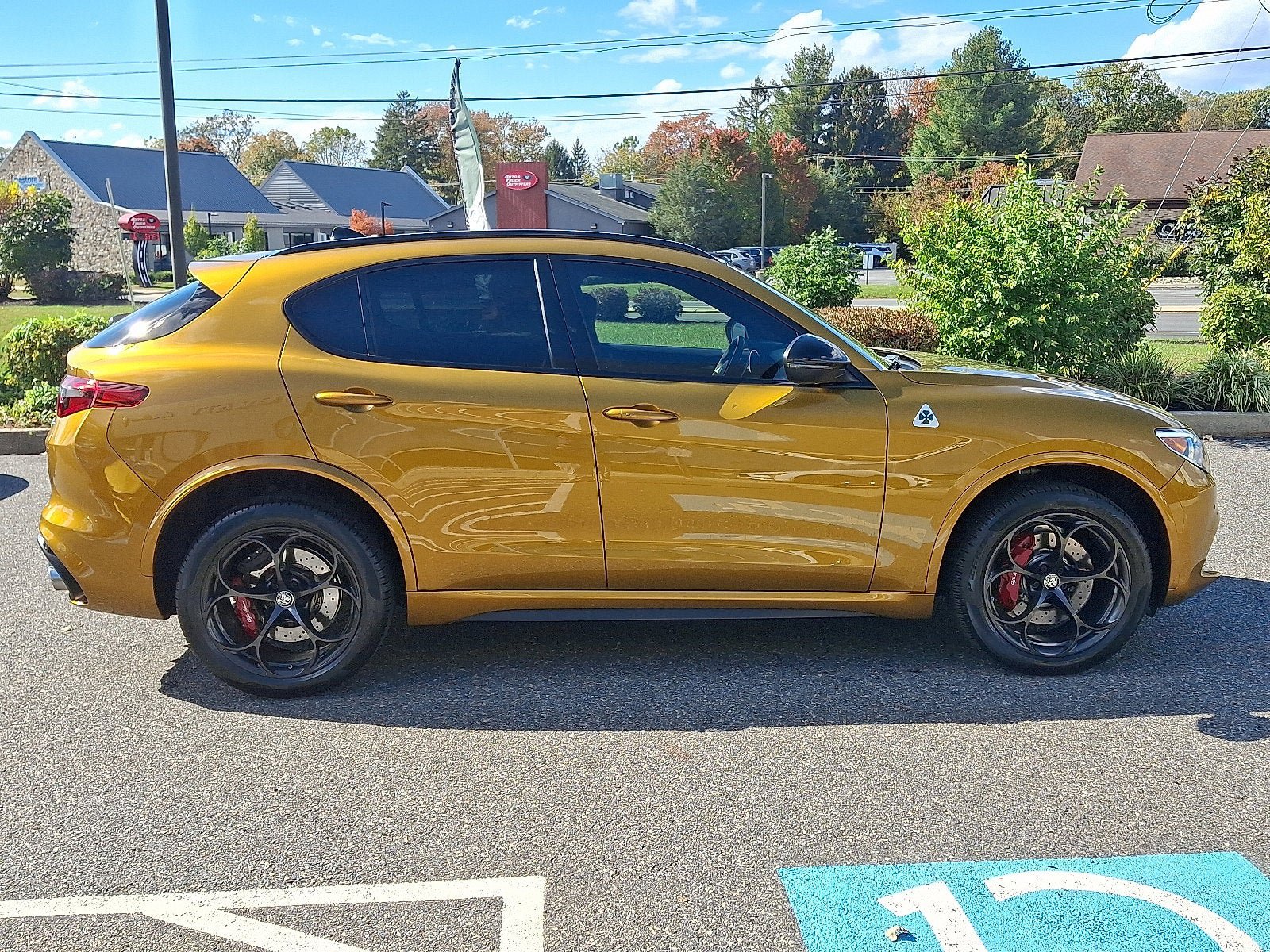 Used 2022 Alfa Romeo Stelvio Quadrifoglio w/ Active Assist Plus Package AWD/4WD image 7