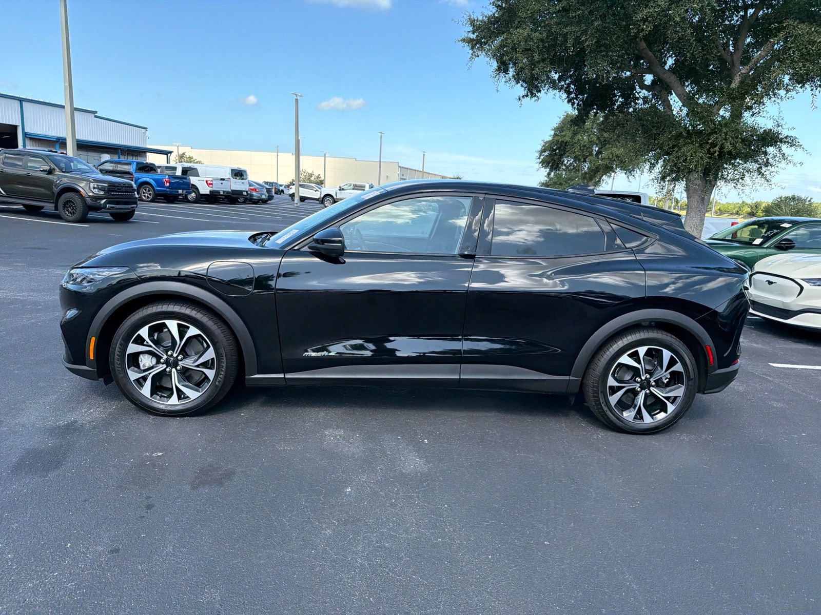 Used 2025 Ford Mustang Mach-E Select RWD image 13