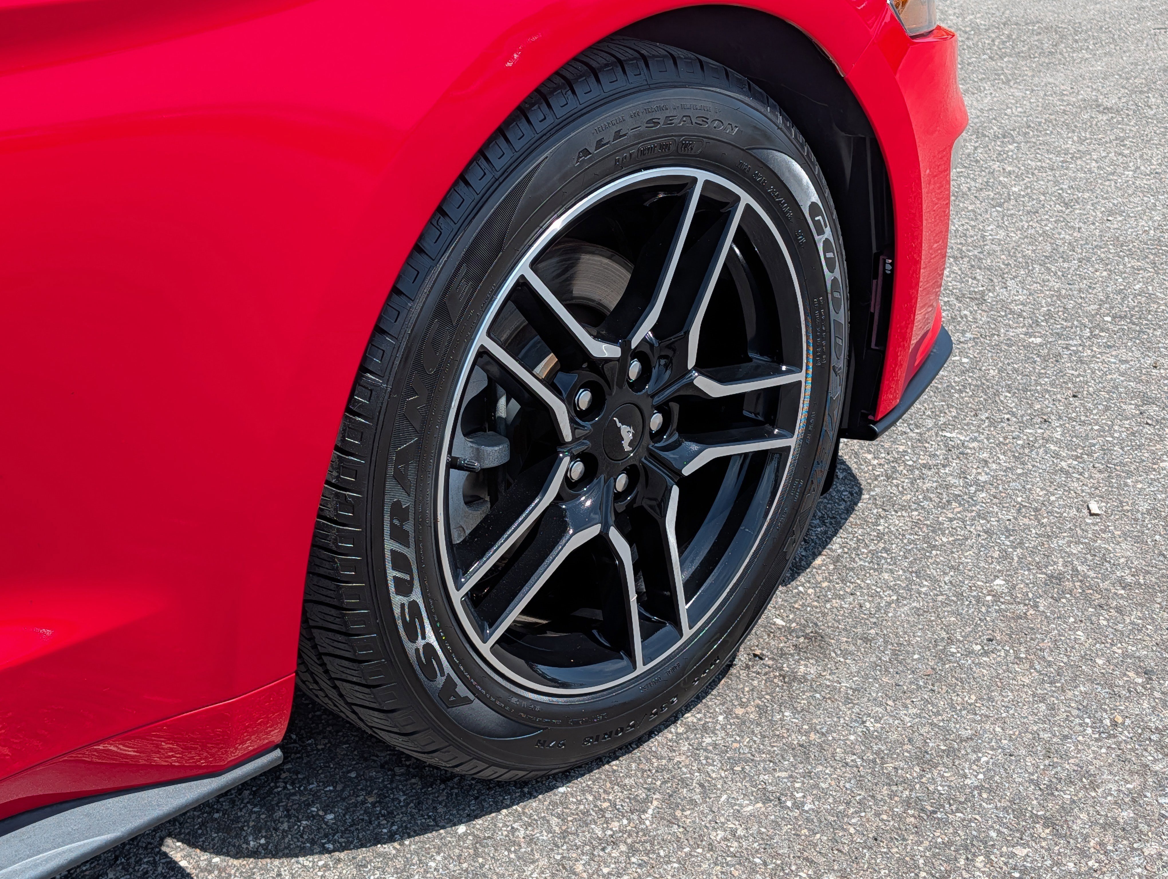 Used 2020 Ford Mustang Premium RWD image 12