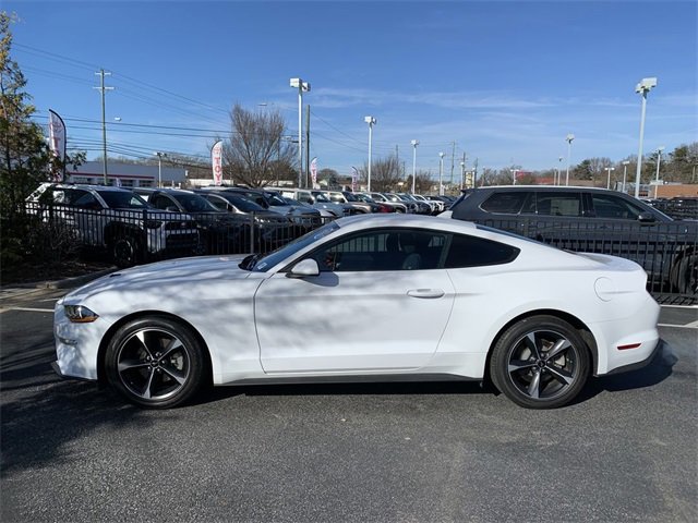 Used 2023 Ford Mustang Coupe w/ Equipment Group 101A image 5