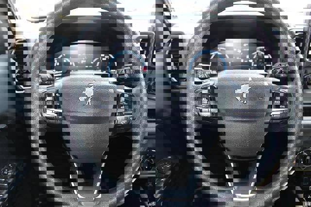 Used 2021 Ford Bronco Sport Big Bend image 13