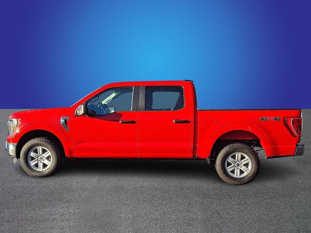 Used 2023 Ford F150 XLT image 7
