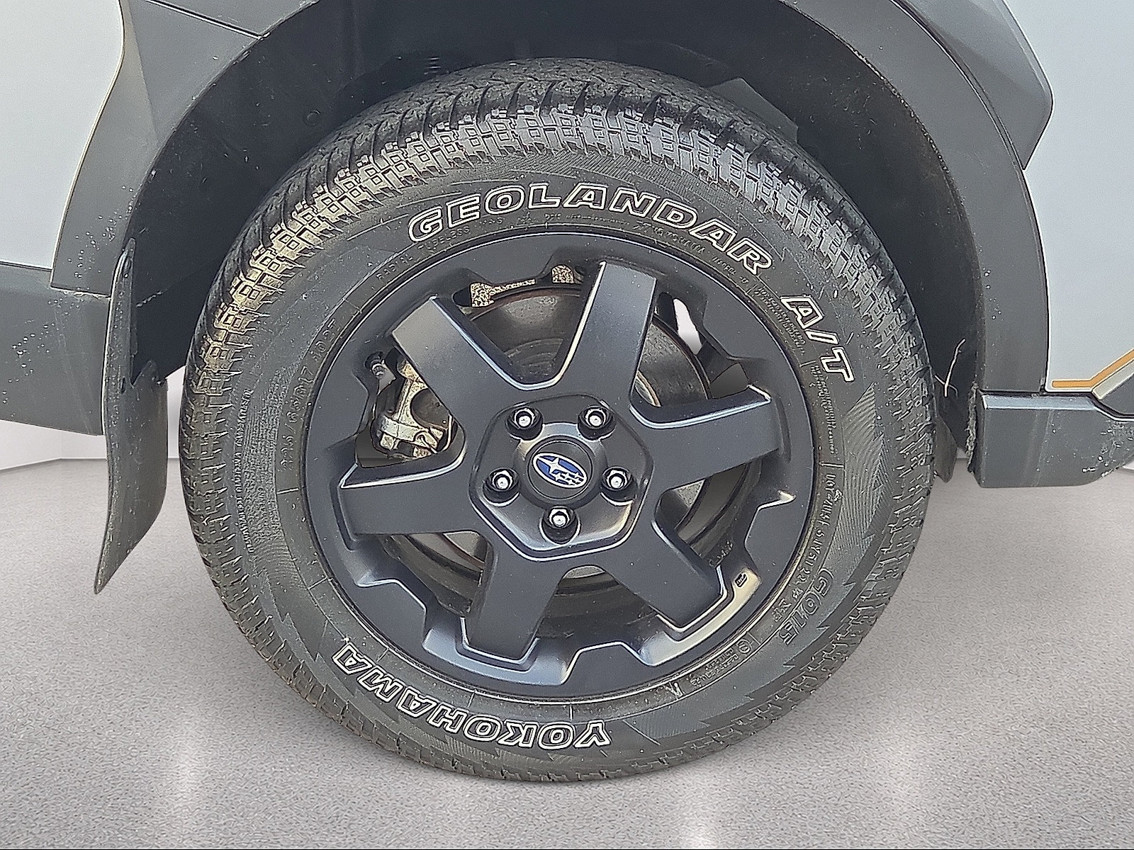 Used 2024 Subaru Outback Wilderness AWD/4WD image 7