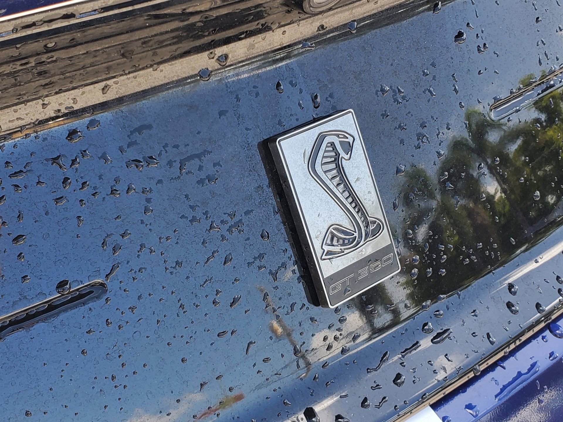 Used 2019 Ford Mustang Shelby GT350 w/ Technology Package RWD image 6