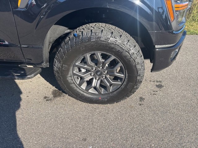 New 2025 Ford F150 Tremor image 16