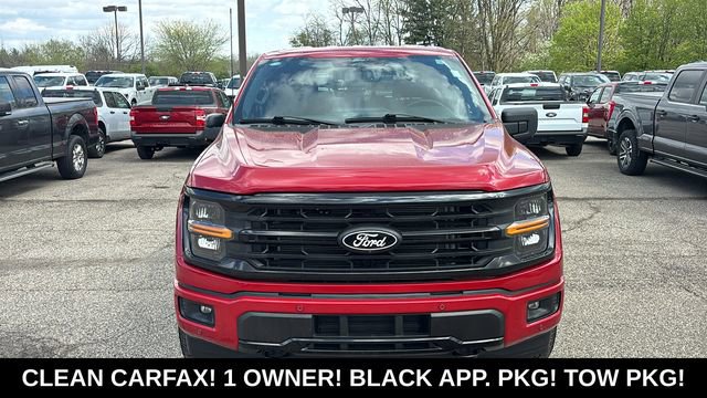 Used 2025 Ford F150 XLT w/ Equipment Group 302A MID image 6