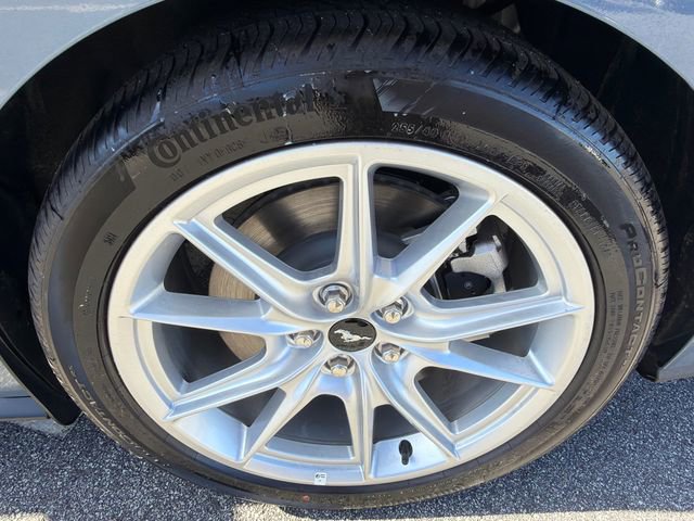Used 2025 Ford Mustang GT Premium image 18