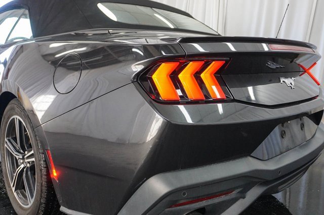 Used 2024 Ford Mustang Premium image 7
