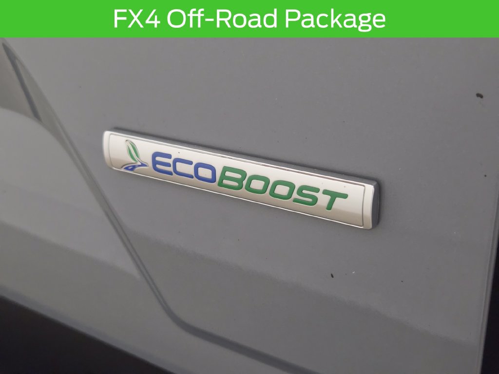 Used 2019 Ford F150 XLT w/ Equipment Group 302A Luxury AWD/4WD image 8