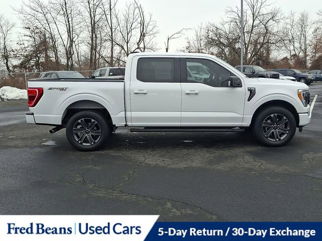 Certified 2023 Ford F150 XLT w/ Equipment Group 302A High image 13