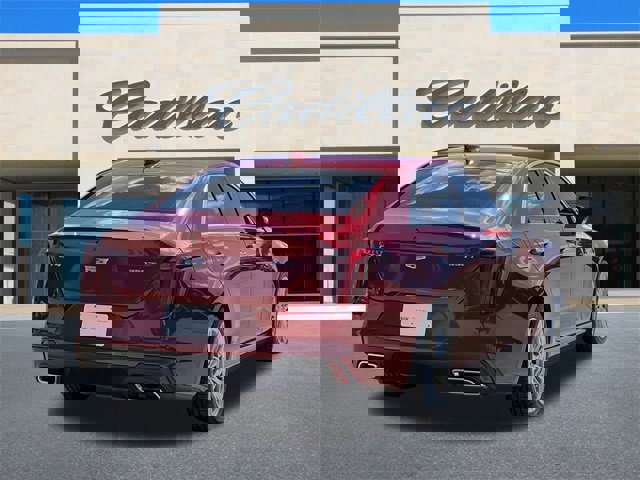 Used 2021 Cadillac CT4 Premium Luxury w/ Climate Package image 3