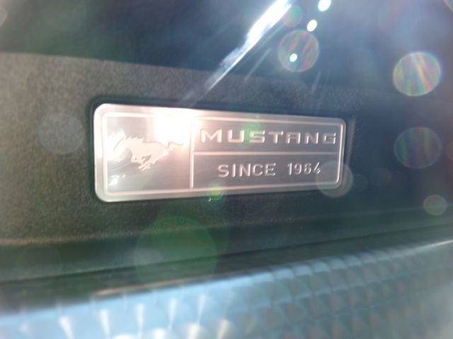 Used 2016 Ford Mustang EcoBoost w/ Ecoboost Performance Package image 29