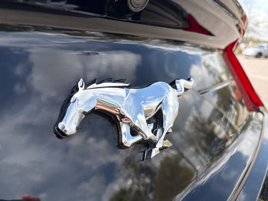 Used 2023 Ford Mustang Premium image 8