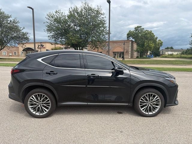 Certified 2022 Lexus NX 350h AWD w/ Vision Package image 11