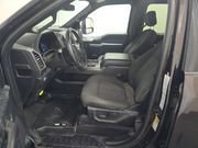 Used 2019 Ford F150 XLT w/ Equipment Group 302A Luxury image 2