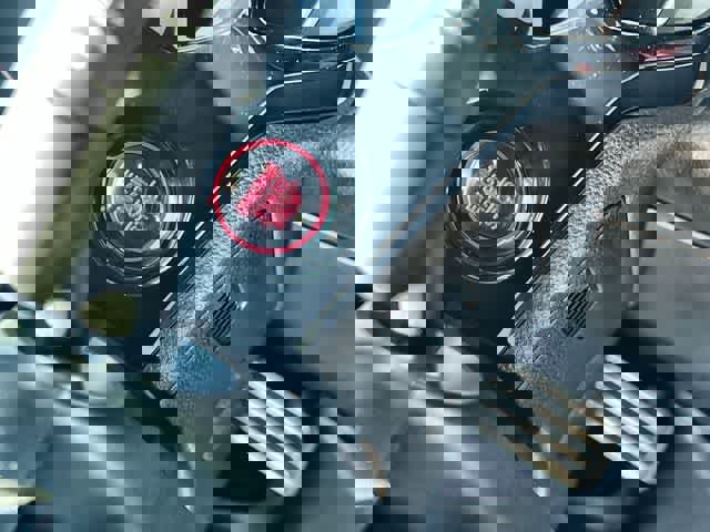 Certified 2026 Honda Civic Sport image 28