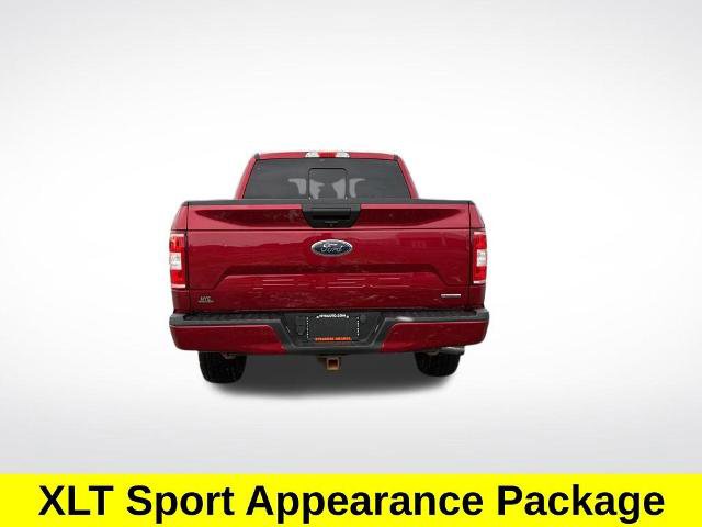 Certified 2019 Ford F150 XLT w/ Equipment Group 302A Luxury image 5