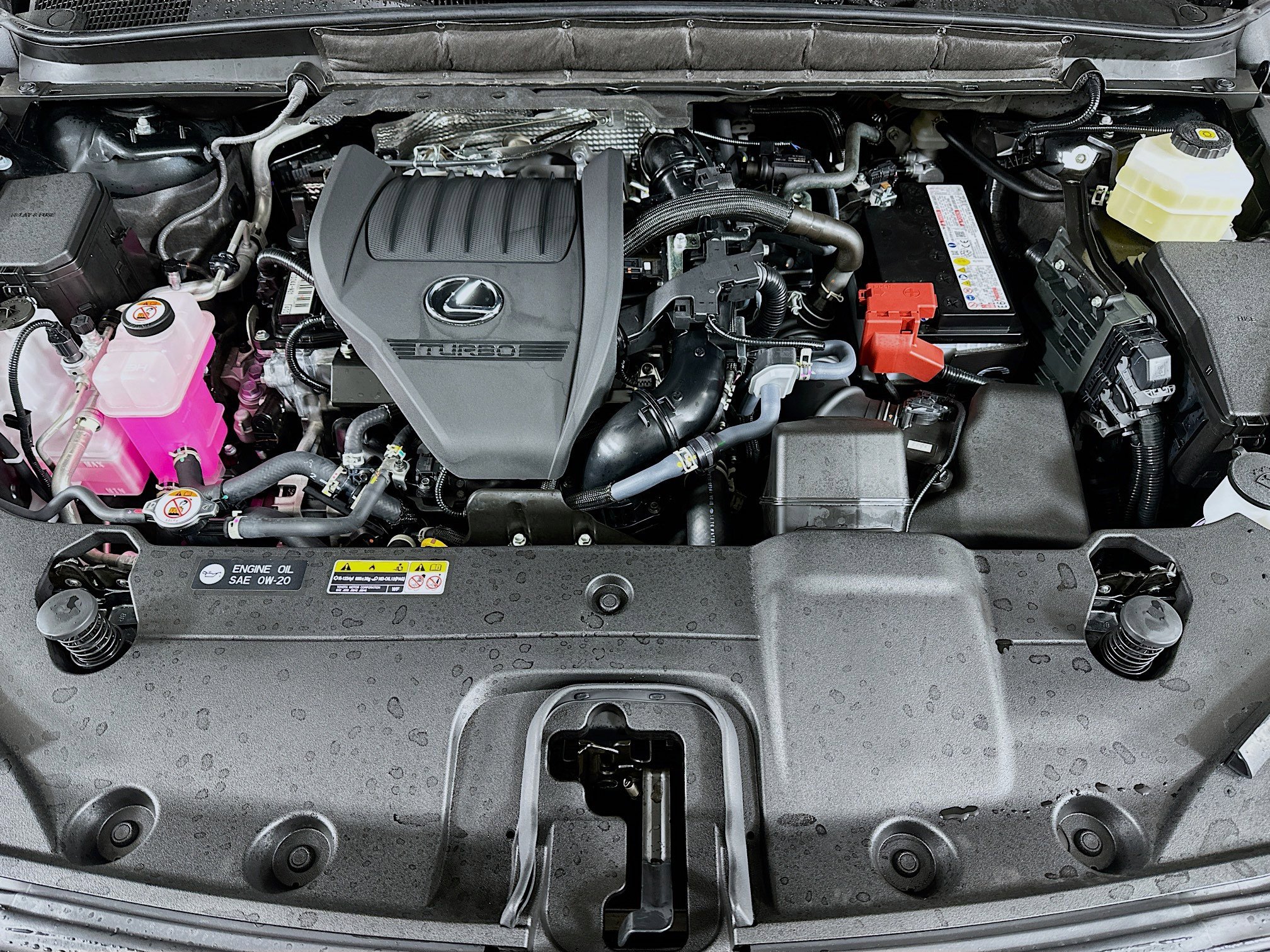 Used 2025 Lexus RX 350 Premium Plus w/ Accessory Package (Z1) image 29