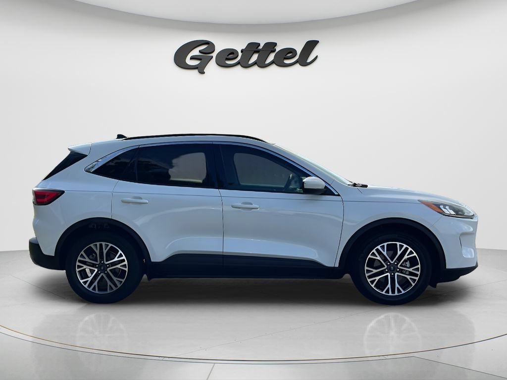Used 2020 Ford Escape SEL FWD image 4
