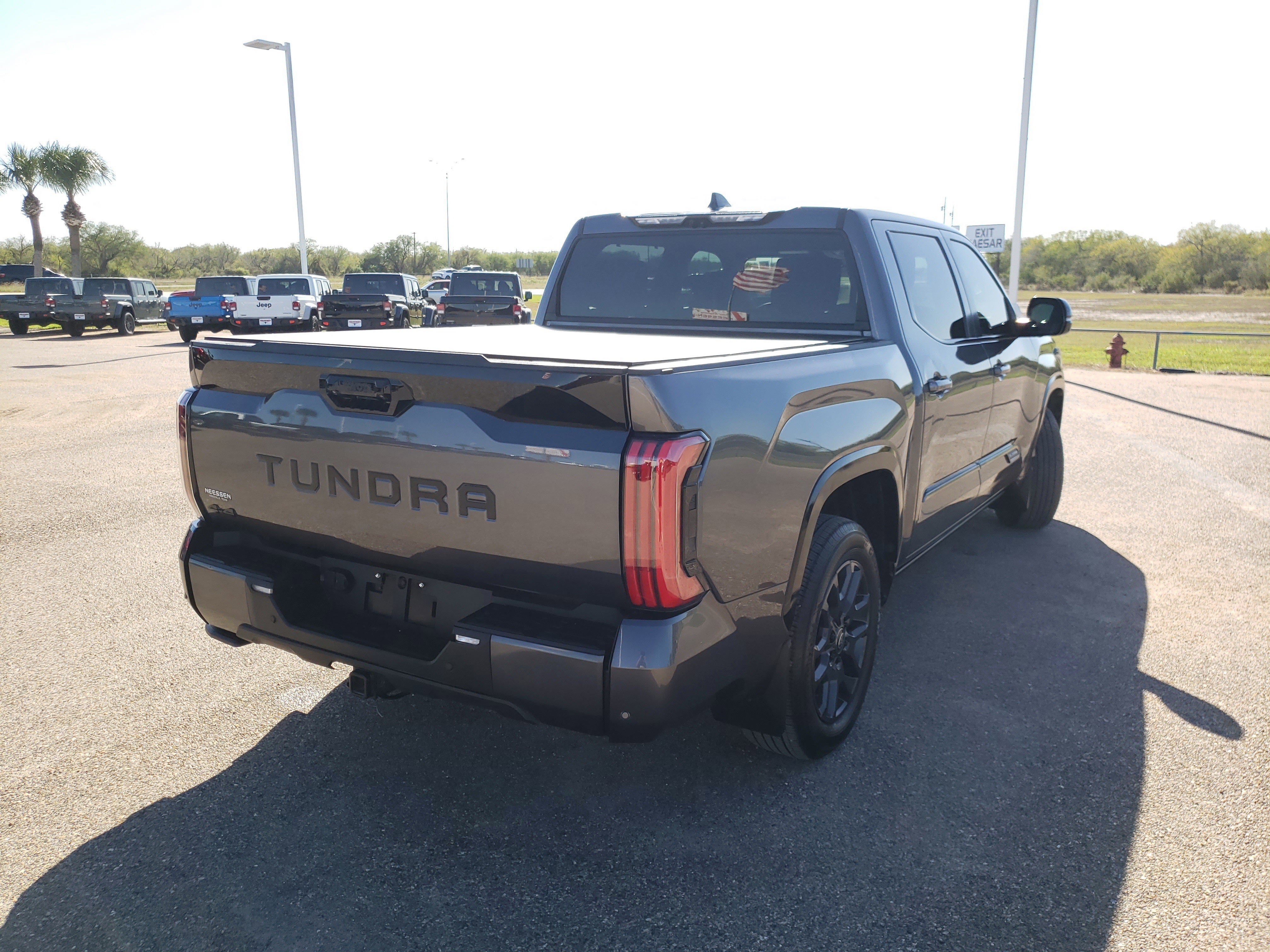 Used 2025 Toyota Tundra Platinum AWD/4WD image 7