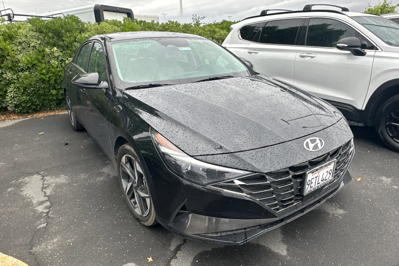 Used 2023 Hyundai Elantra Limited w/ Preferred Accessory Package FWD image 2
