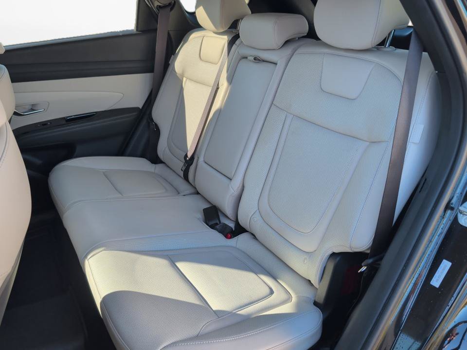 Certified 2025 Hyundai Tucson Limited AWD/4WD image 12