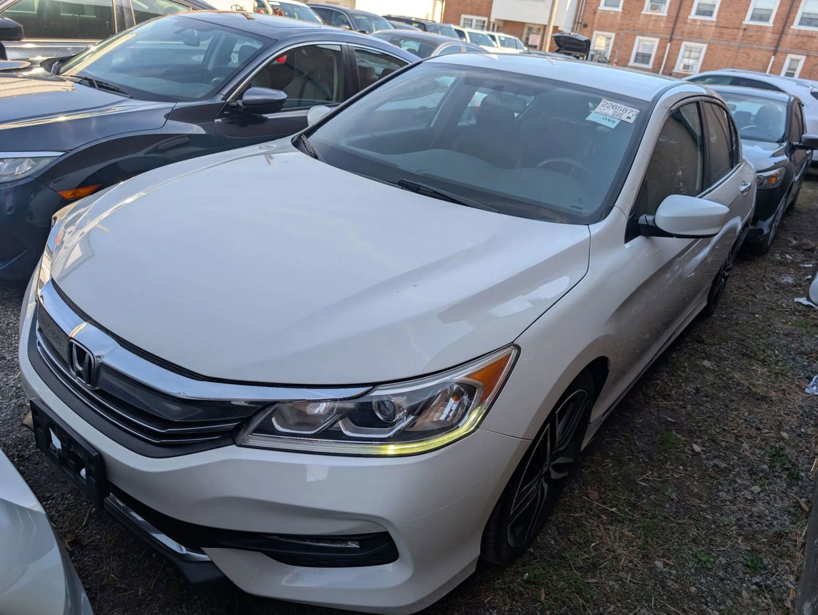 Used 2017 Honda Accord Sport image 4