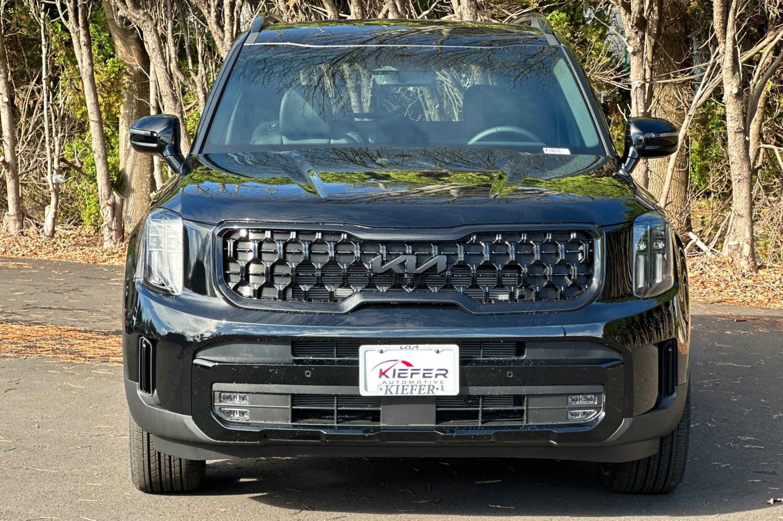 New 2025 Kia Telluride SX X-Line image 5